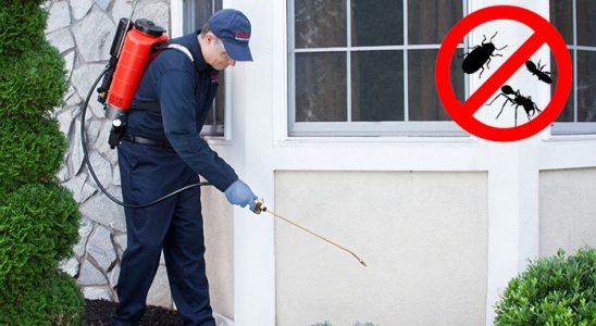 Bala Hamam Böceği İlaçlama böcek ilaçlama ve haşere kontrolü — ilaclama-tr.com